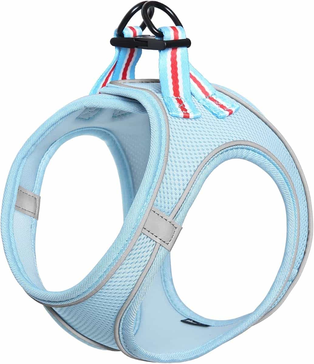 HEELE Small Mesh Dog Harness, Light, Soft, Reflective, Blue, M | Small Dog Puppy Harness, Soft Mesh, Lightweight and Comfortable Reflective for Daily Travel and Night Walks