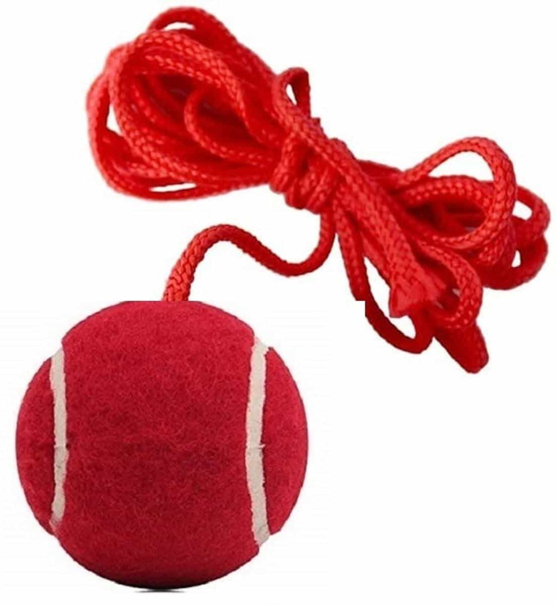 वीएससी VSCCricket Hanging Tennis Ball , 3.5 Meter Rope क्रिकेट ट्रेनिंग बॉल - साइज़ : स्टैण्डर्ड